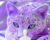 Purple cat background