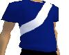 Blue Shirt With a Stripe