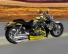 Harley-Yellow Tail 