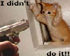 I didnt do it!