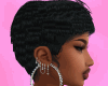 short haired black_blue