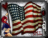 !ML Liberty Vintage Flag