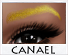 [CNL]Gold eyebrows