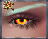 Phoenix Eyes (F)