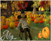 Pumpkin Patch Scarecrow