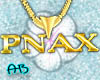 [AB]PNAX Necklace