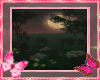 Mini Forest At Night