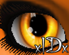 xIDx Oranje Leeuw Eyes F