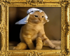 Habibi Gatto