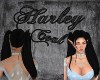 Harley Coal