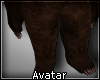 A- Bear Avatar