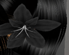 OX! Flower Lu Dark