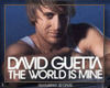 *S The world is mine