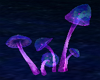 Neon Mushrooms anim.
