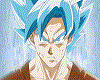 Goku SSJ Blue Animated