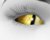 ~ADG~Gold~Eyes~