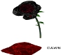 Bleed Black Rose Drippin
