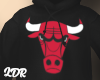 Chicago Bulls Hoodie.