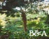 [BA] Plam trees