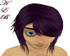 Black/Purple Hair