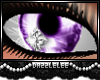 *DL*Purple Diamond Eyes