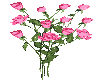 PINK ROSES