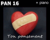 PANSEMENT + micro PAN 16