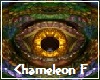 Chameleon Eyes F