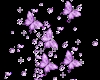 Lilac butterflies