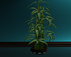 GL-Teal Bamboo Plant