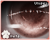 [Pets] Clessa | eyes v2