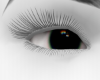 Black Chromatic Eye