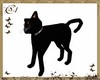 [ANA] BLACK CAT