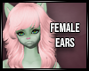 Flora ears