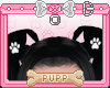 🐾 Black Pup Ear Paw 3