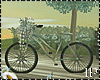 Romantic Bicycle Kiss