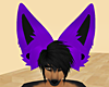 Big Purple & Black Ears