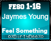 JaymesYoung:FeelSomethin
