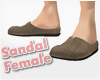 *Sandals Female #6