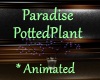 [BD]ParadisePottedPlant