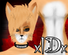 xIDx Dingo Fur M