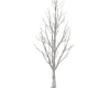🎄 Tree-snow