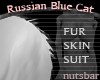 (n) russian blue fur GA