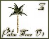 Z Palm Tree V1