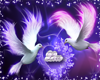 [Tazz]Romantic doves