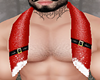 CHRISTMAS TOWEL