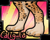 Serval Digilegs