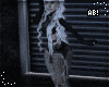 T | Abra Dance
