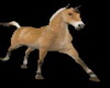 Animated Horse 09