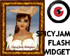 SpicyJam Flash Widget